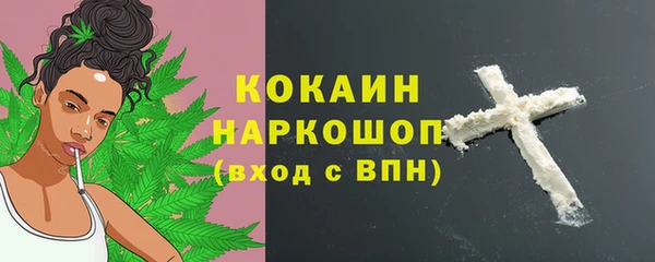 шишки Белоозёрский